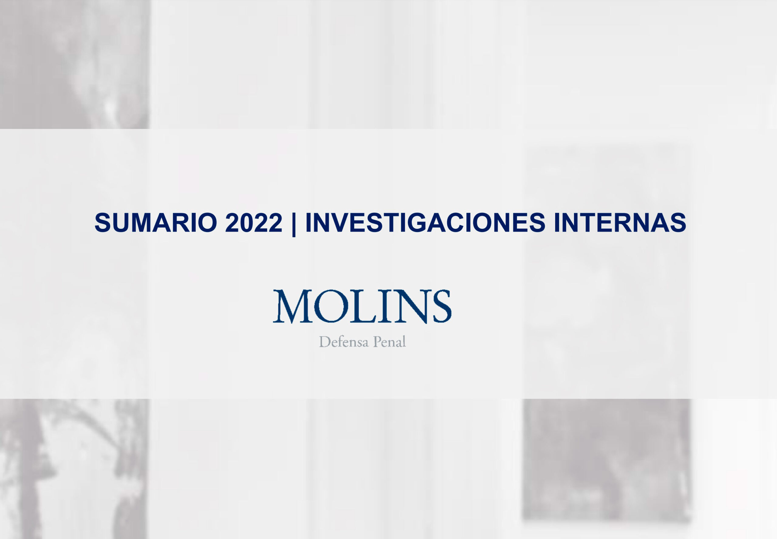 SUMARIO 2022 | INVESTIGACIONES INTERNAS